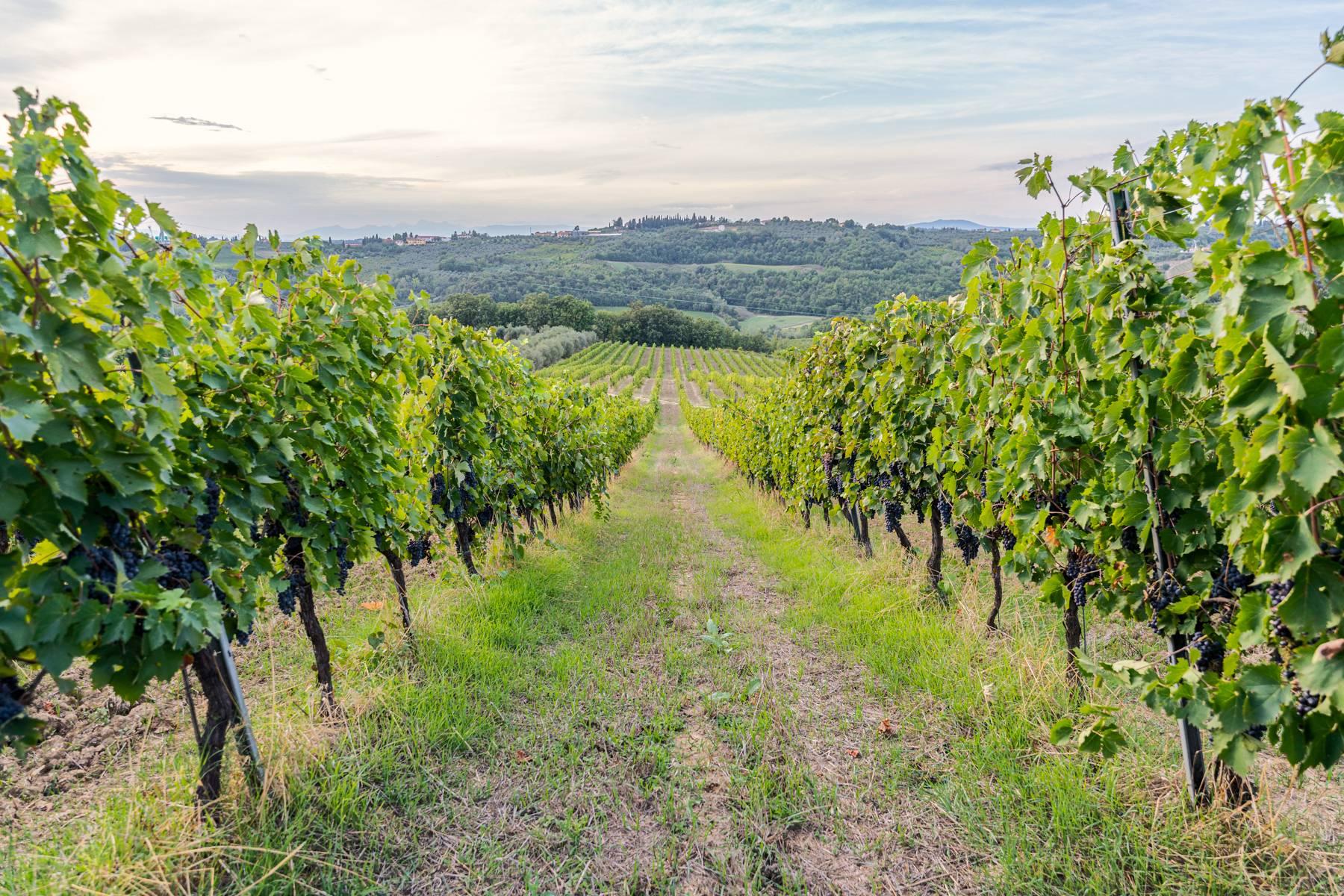 Eccezionale tenuta vinicola con riserva di caccia di 300 ettari nel Chianti Fiorentino - 33