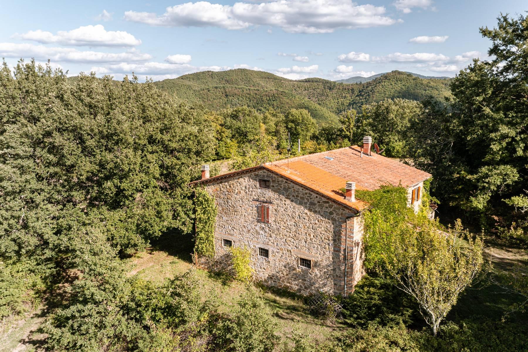 Majestic 16th century villa in the Tuscan countryside - 27
