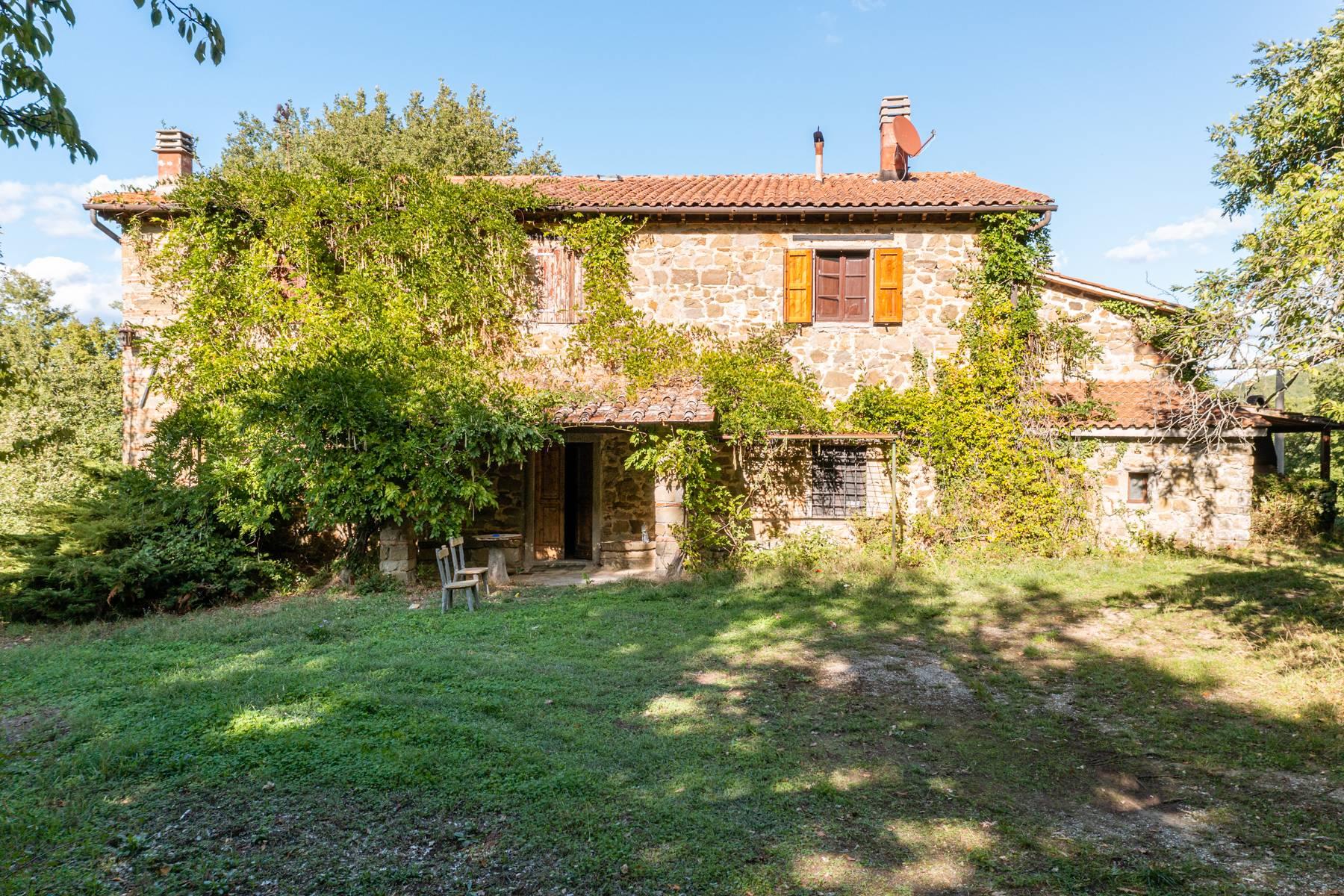 Majestic 16th century villa in the Tuscan countryside - 29