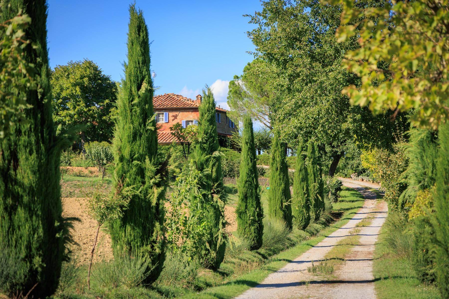 Enchanting farmhouse on the hills of Lucignano - 30