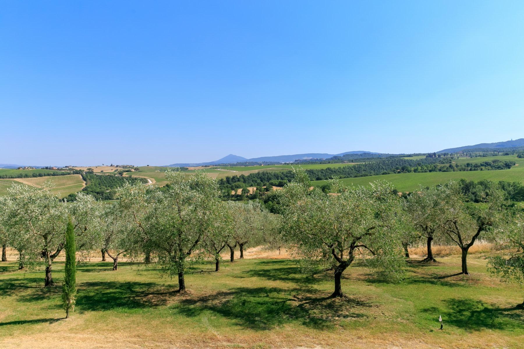 Merveilleuse villa immergée parmi les vignobles de Montepulciano - 14