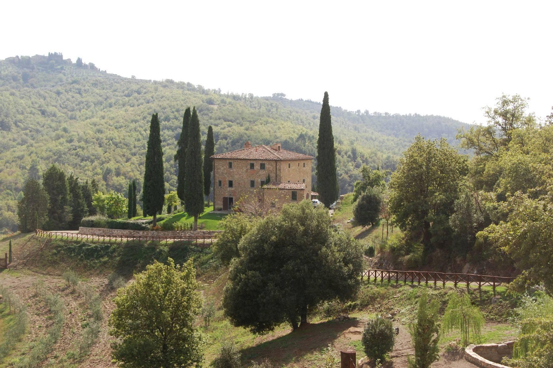A majestic villa in the heart of Chianti - 31