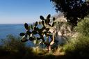 Casa del Capitano - Conca dei Marini, Costiera Amalfitana, in affitto, Conca dei Marini | Sotheby’s Realty Italy - 6