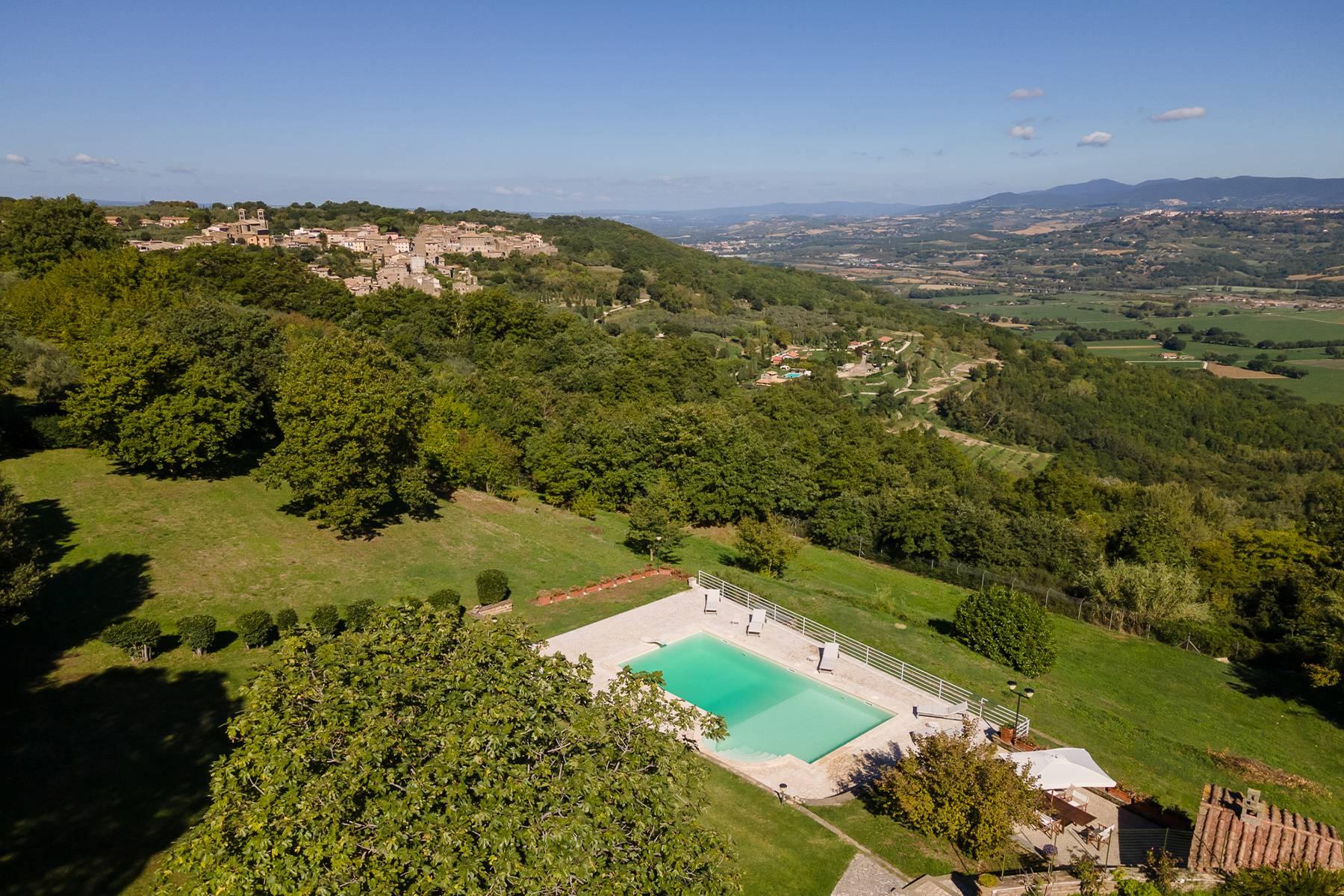 Villa with swimming pool and park in the heart of Tuscia - 32