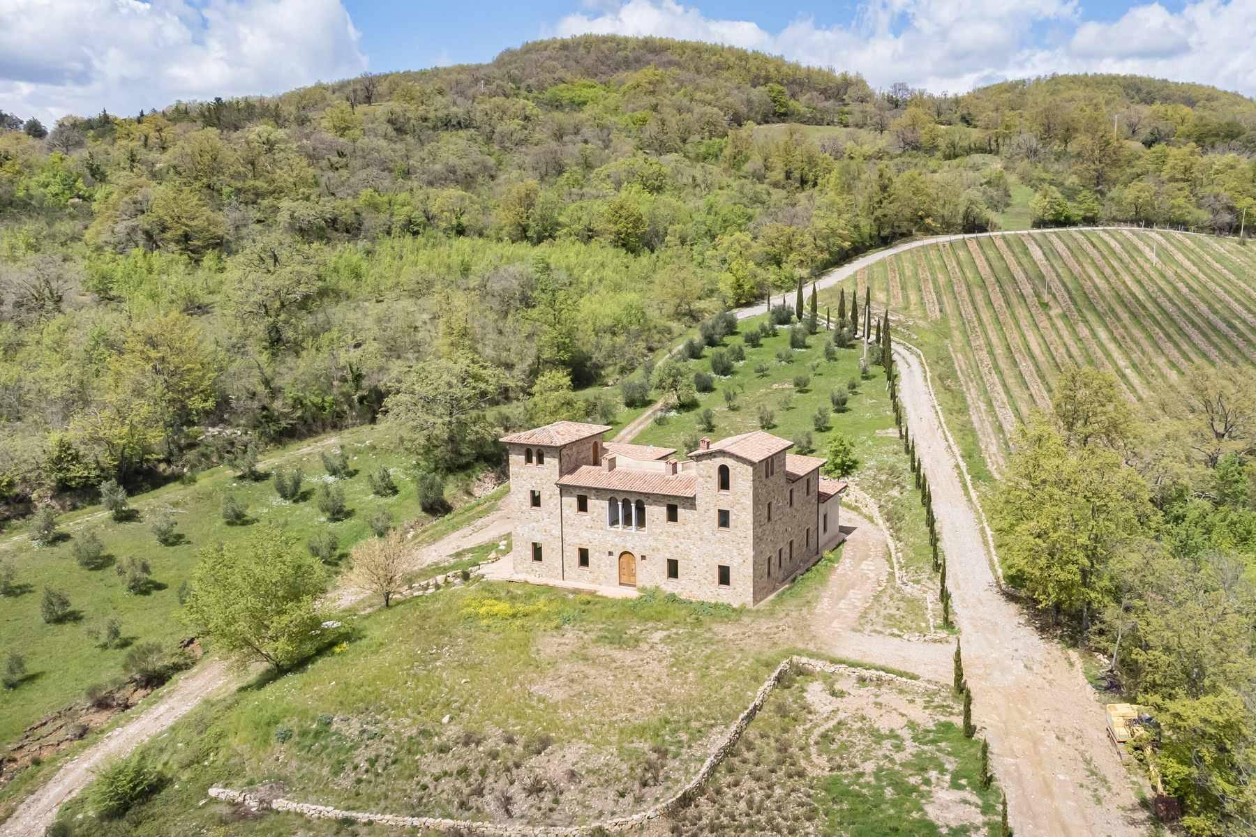 Fascinating property with vineyards and olive groves - 2