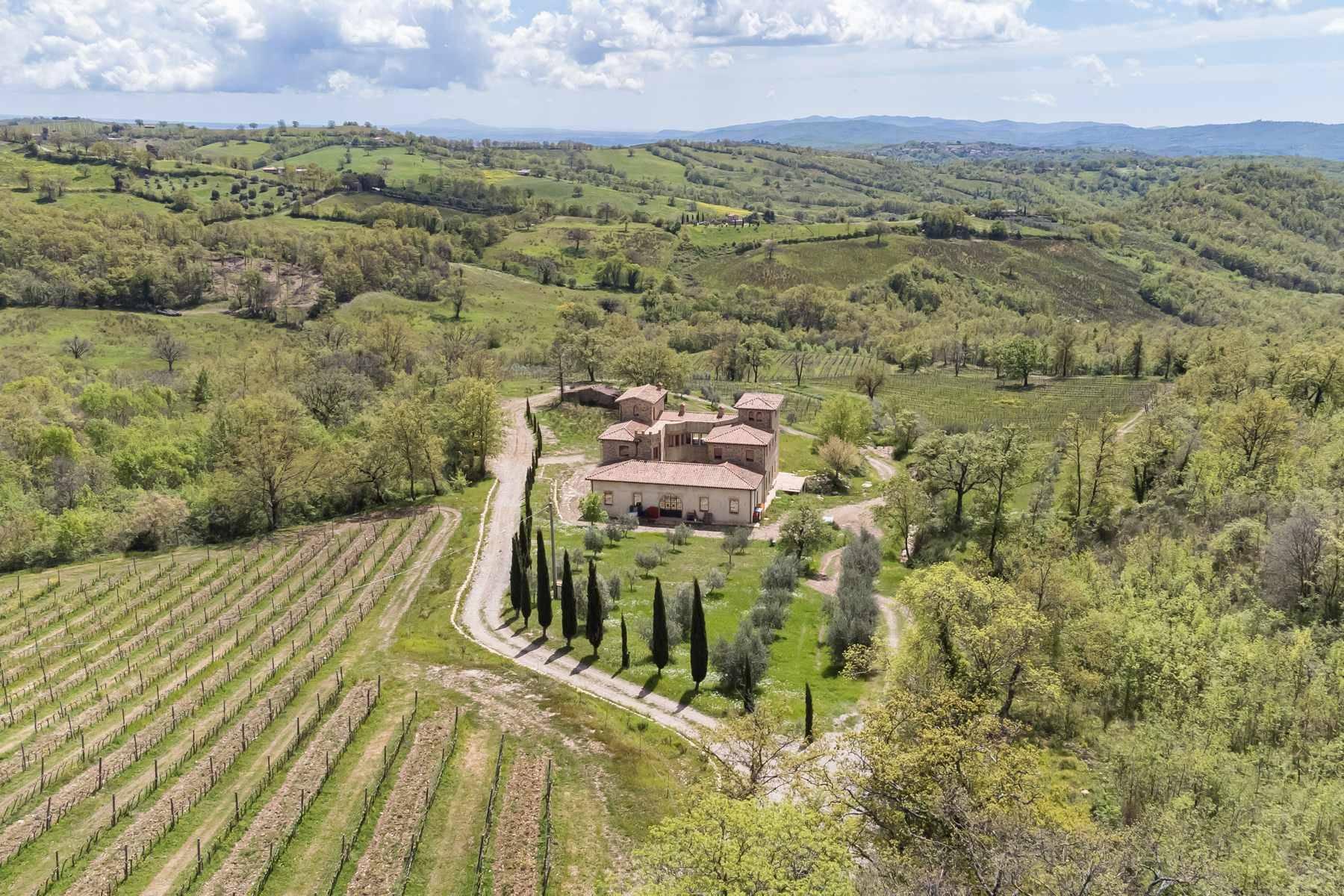 Fascinating property with vineyards and olive groves - 31