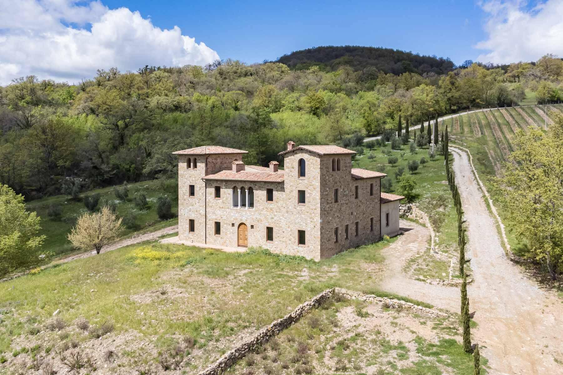Fascinating property with vineyards and olive groves - 3