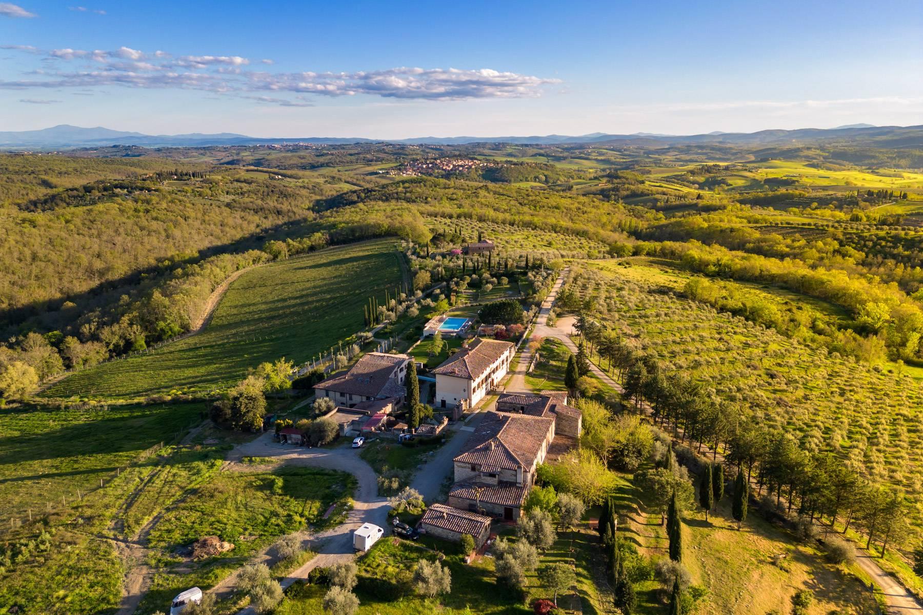 Wine estate in the heart of Chianti Classico - 3