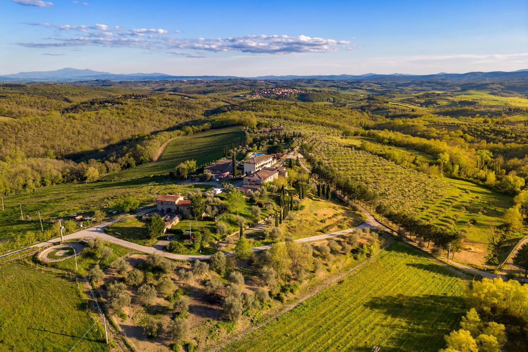 Wine estate in the heart of Chianti Classico - 29