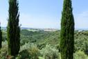 Incantevole proprietà in maremma con vigneti e vista mare, in vendita, Scansano | Sotheby’s Realty Italy - 27
