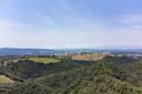 Incantevole proprietà in maremma con vigneti e vista mare, in vendita, Scansano | Sotheby’s Realty Italy - 28