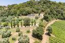 Incantevole proprietà in maremma con vigneti e vista mare, in vendita, Scansano | Sotheby’s Realty Italy - 31