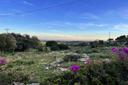 Elegante villa con piscina nelle campagne di Noto, in vendita, Noto | Sotheby’s Realty Italy - 17