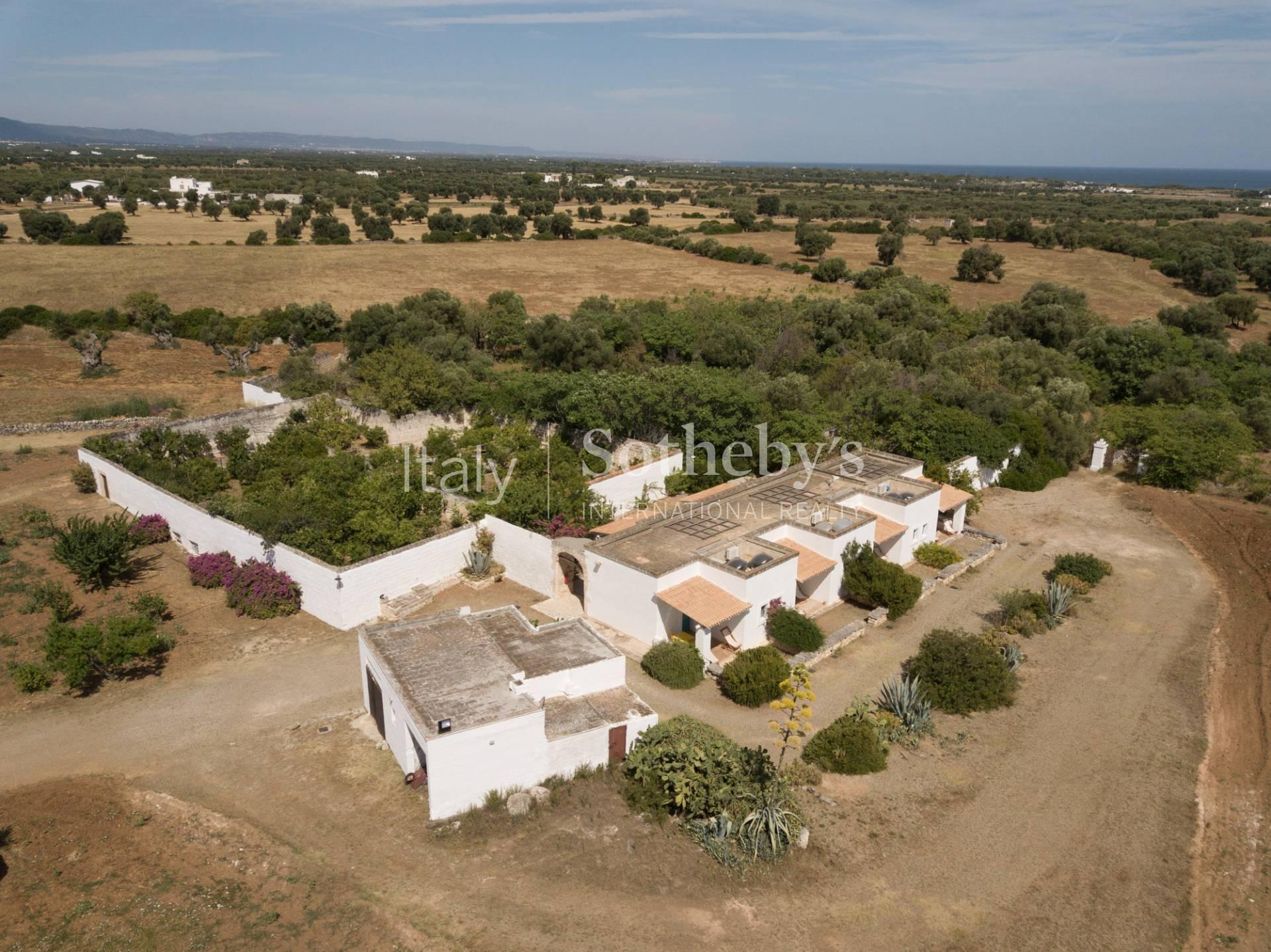 Ancient renovated farmhouse in the countryside of Ostuni - 6