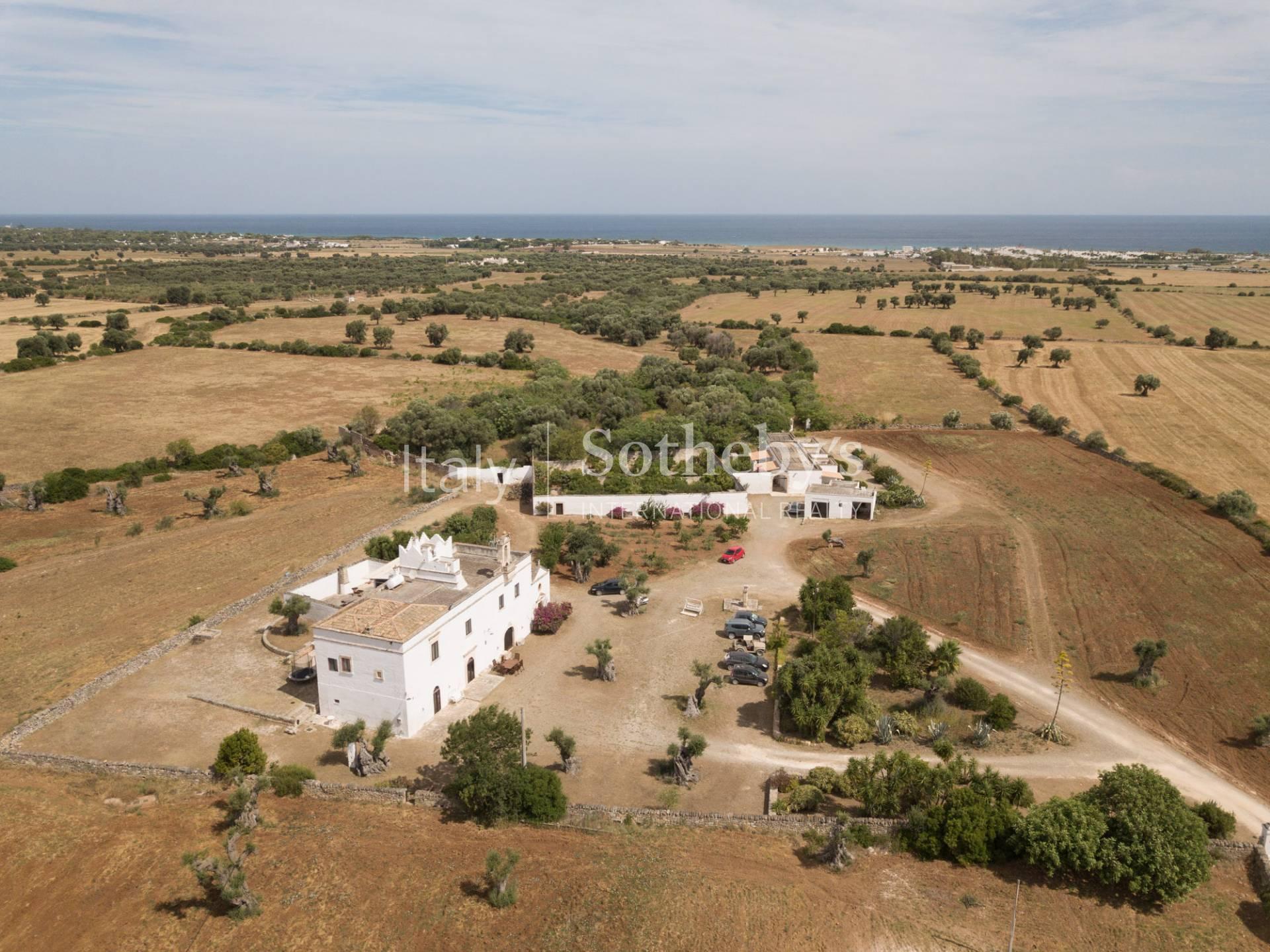 Ancient renovated farmhouse in the countryside of Ostuni - 35