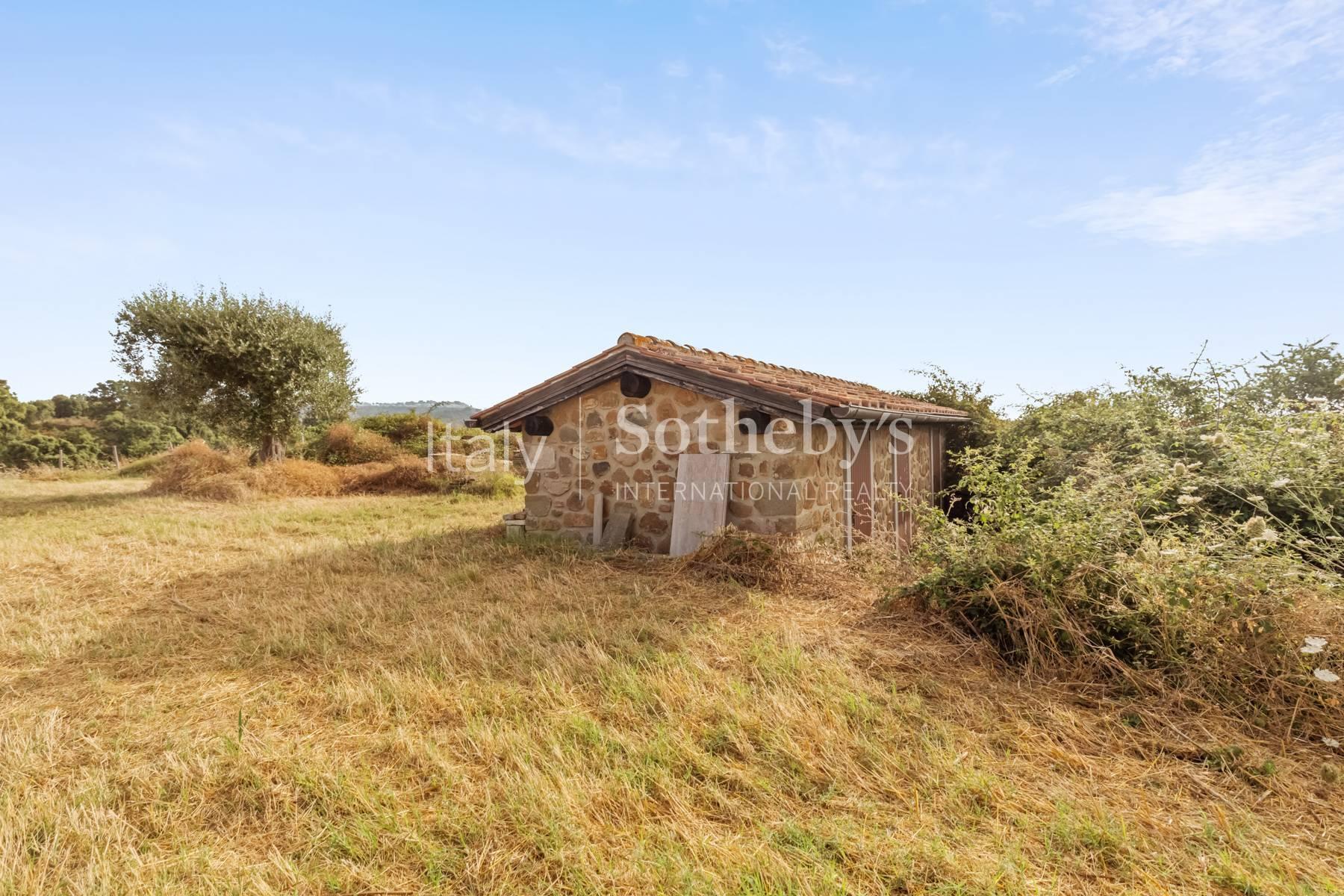 Panoramic stone farmhouse with  olive groves and sea views - 14