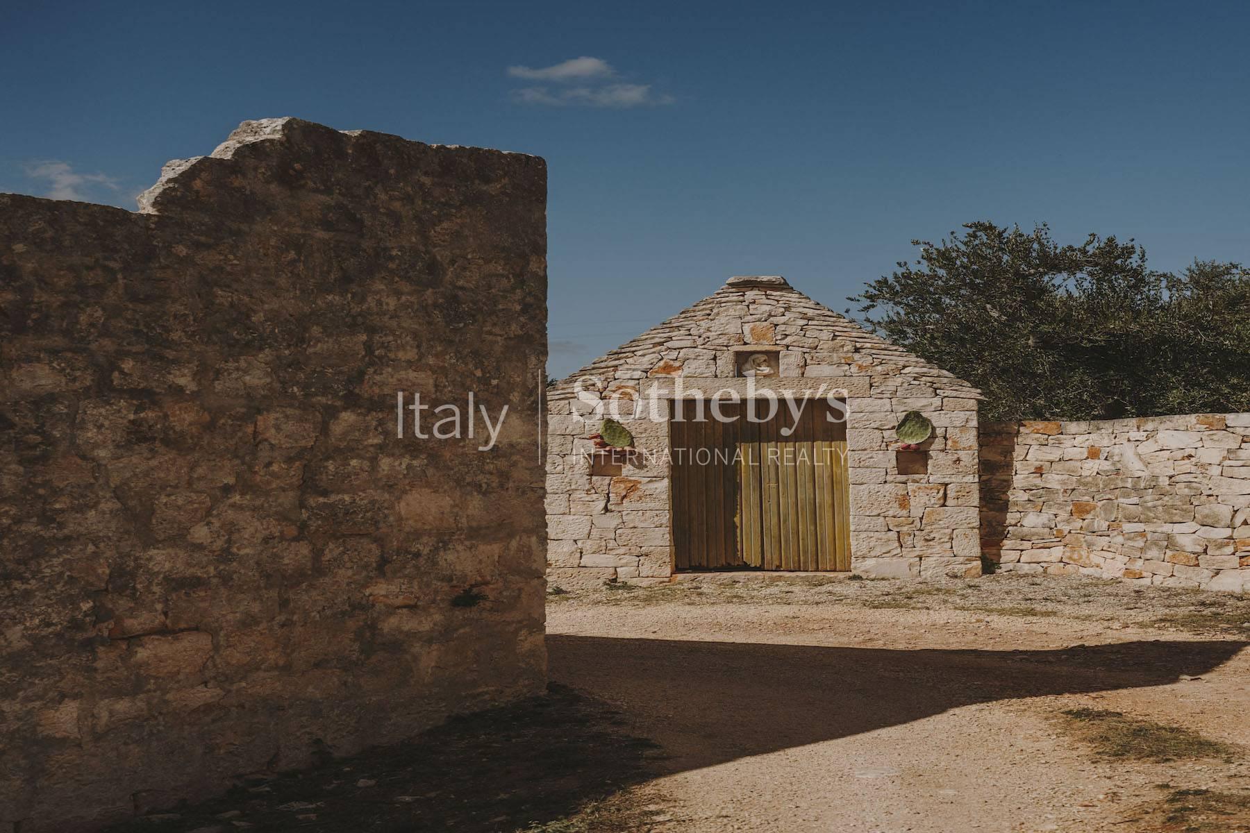 Casa La Ginestra - Apulian villa immersed in an olive farm - 3
