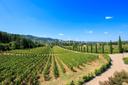 Azienda vitivinicola con SPA e ristorante, in vendita, Arezzo | Sotheby’s Realty Italy - 7