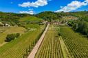 Azienda vitivinicola con SPA e ristorante, in vendita, Arezzo | Sotheby’s Realty Italy - 33