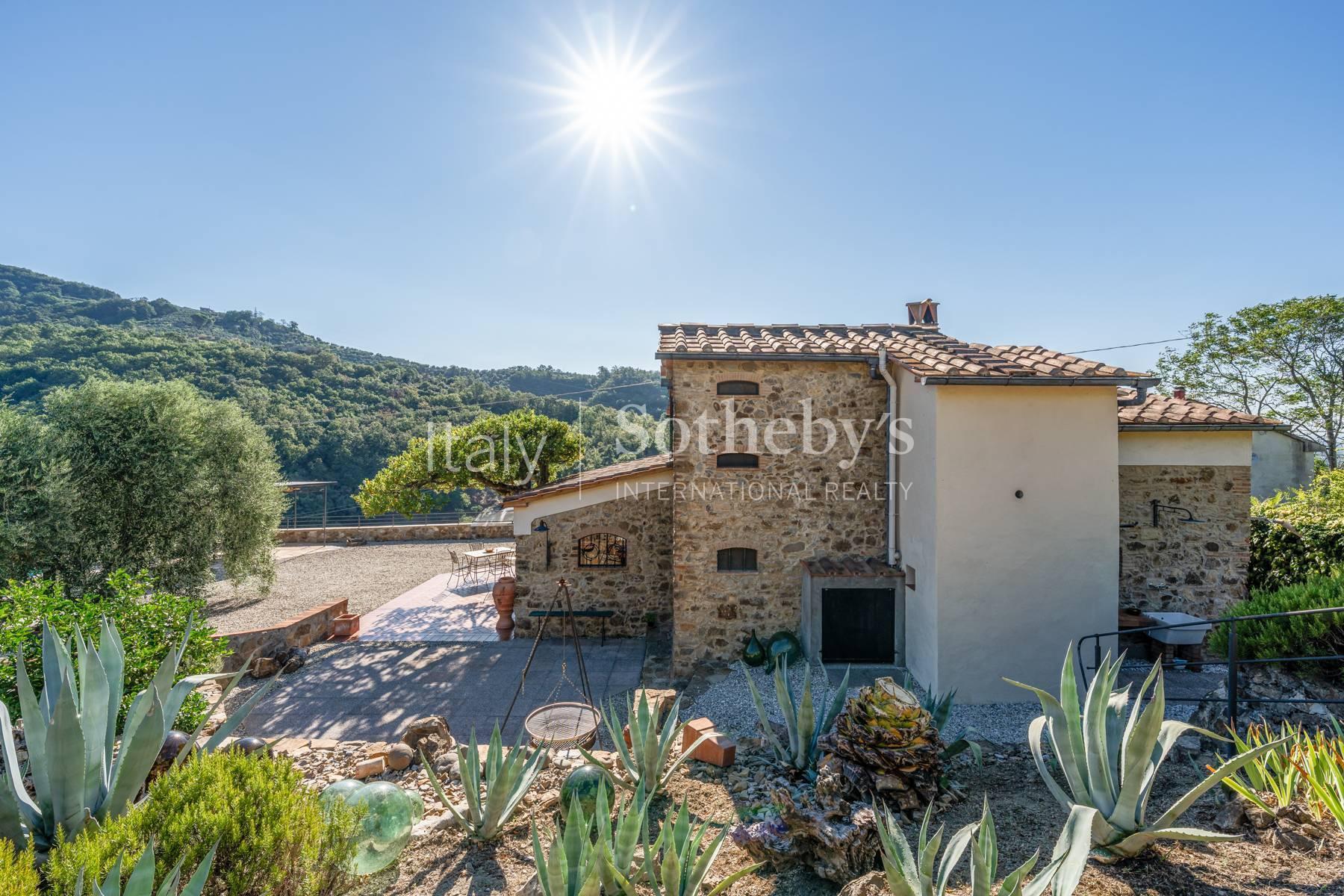 One-of-a-kind Tuscan cottage on the hills between Lucca and Montecatini Terme - 3