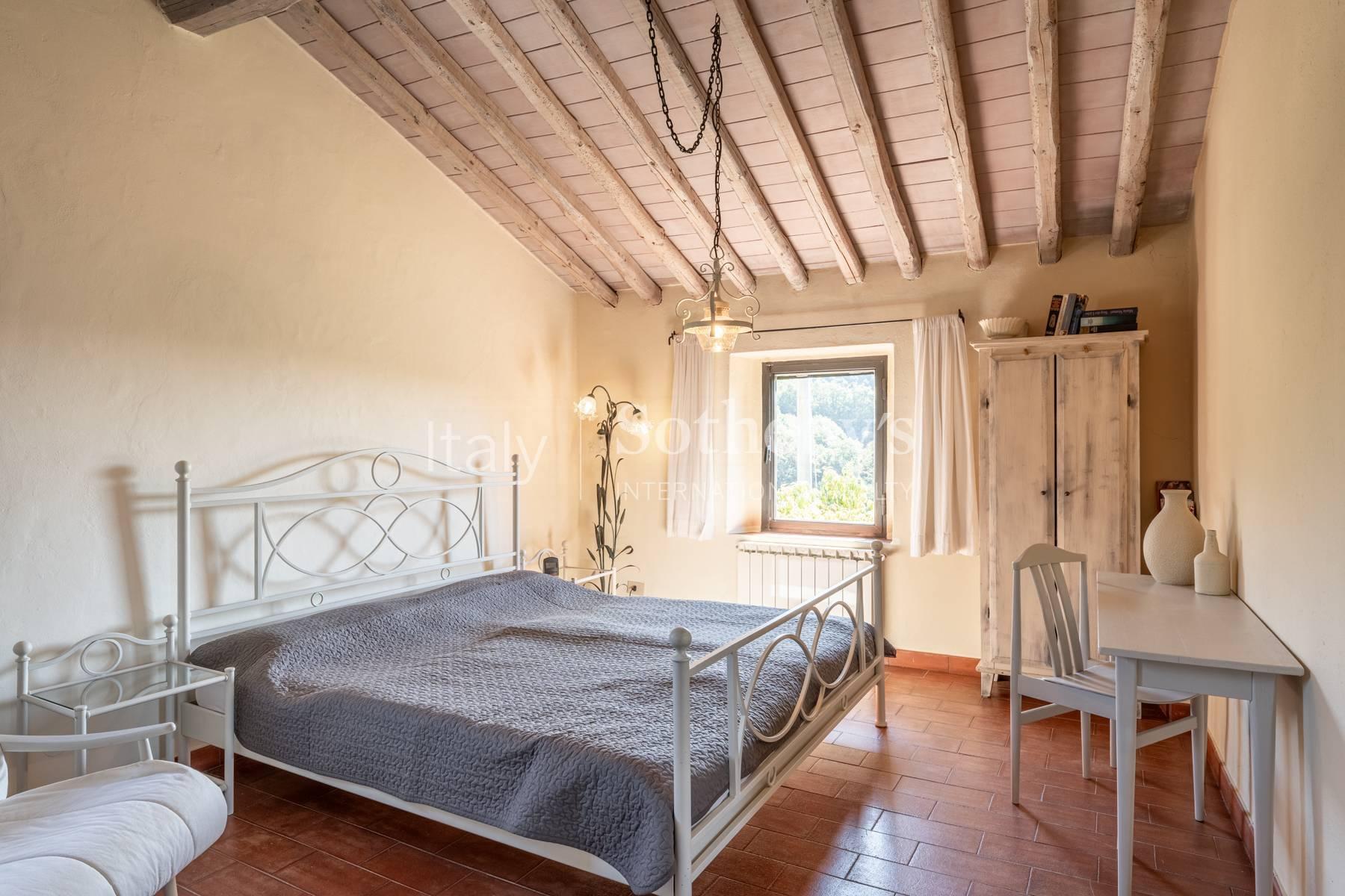 One-of-a-kind Tuscan cottage on the hills between Lucca and Montecatini Terme - 17