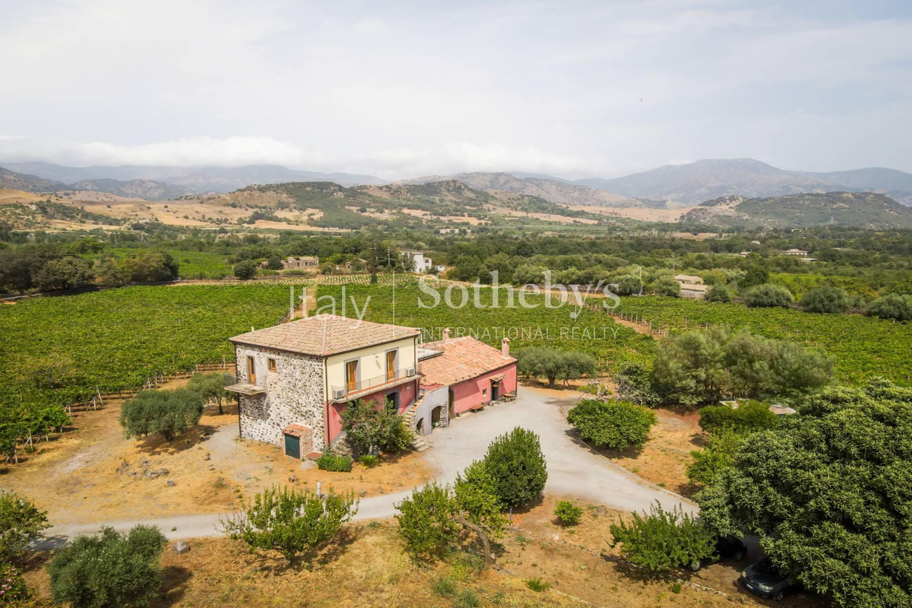 Estate of five cottages with pool and view of Etna - 4