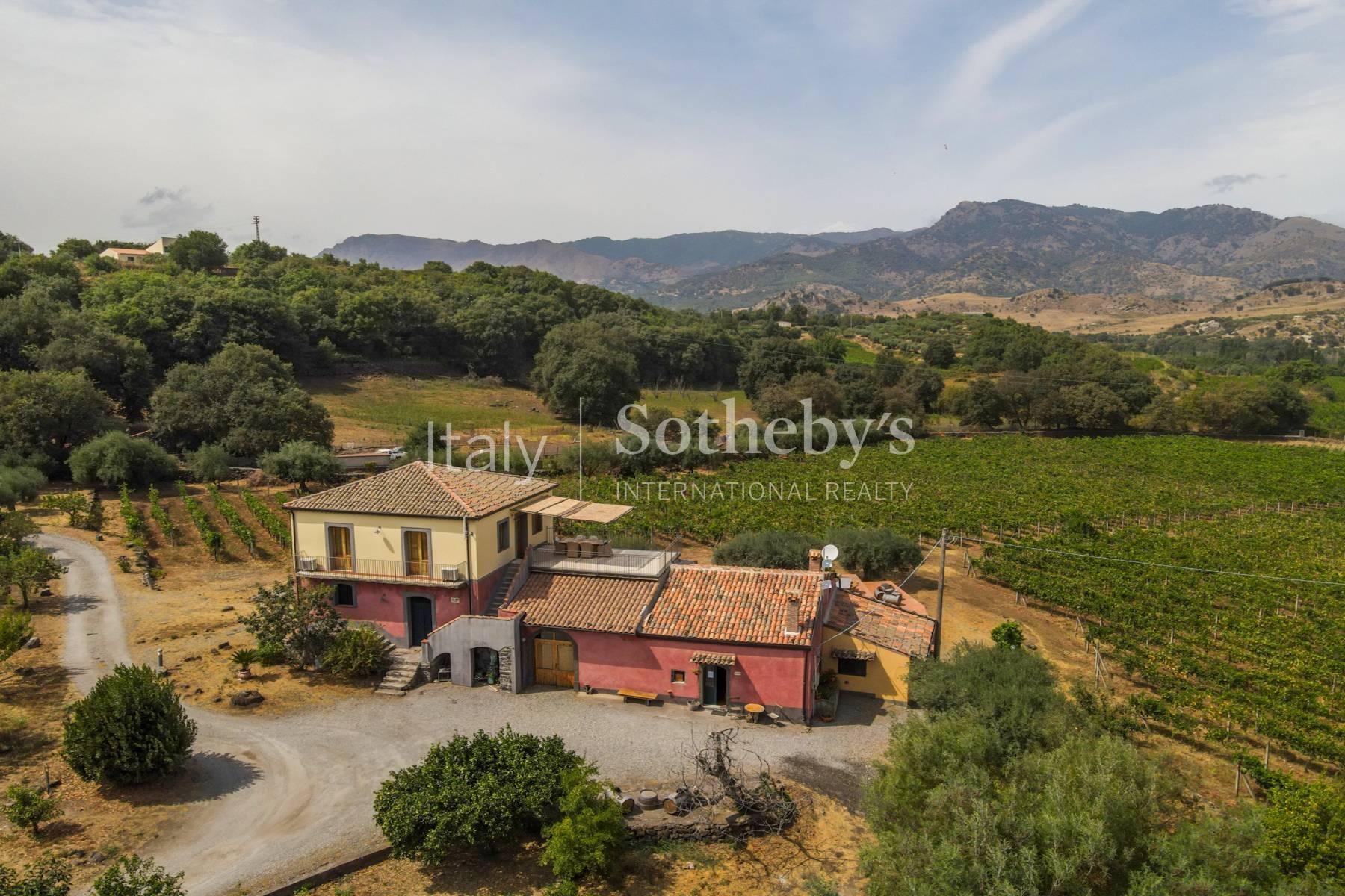 Estate of five cottages with pool and view of Etna - 15