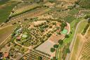 Meravigliosa tenuta con vigneto e oliveto, in vendita, Castiglione della Pescaia | Sotheby’s Realty Italy - 27