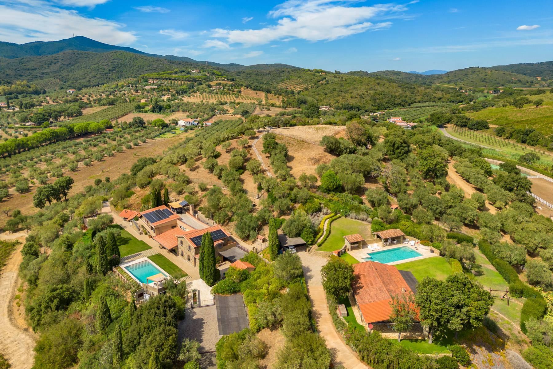 Inspiring tuscan estate with vineyards and olive groves - 1