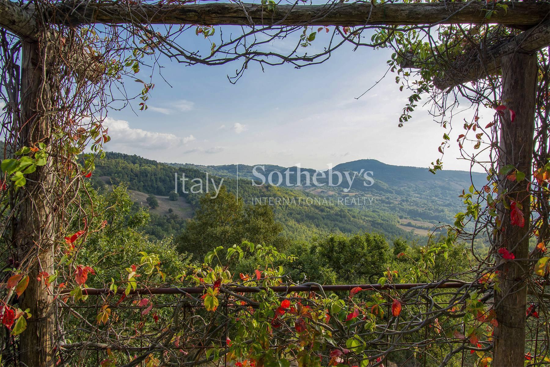 Типичная тосканская вилла на холмах недалеко от Гроссето, Италия - 7