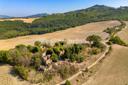 Eccezionale riserva di caccia e azienda agricola, in vendita, Radicondoli | Sotheby’s Realty Italy - 29