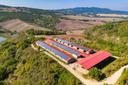 Eccezionale riserva di caccia e azienda agricola, in vendita, Radicondoli | Sotheby’s Realty Italy - 31
