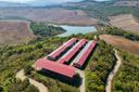 Eccezionale riserva di caccia e azienda agricola, in vendita, Radicondoli | Sotheby’s Realty Italy - 32