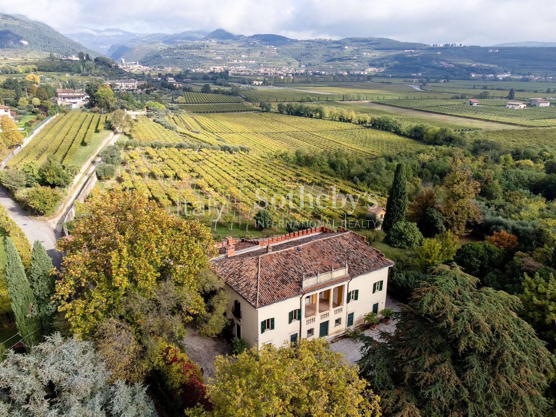Charming Venetian Villa with vineyard in the heart of the classic Valpolicella - 14