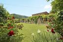 Bellissima villa con piscina nella campagna lucchese, in vendita, Lucca | Sotheby’s Realty Italy - 6