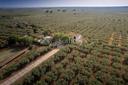 Villa con Piscina vicino il parco archeologico di Selinunte, in vendita, Castelvetrano | Sotheby’s Realty Italy - 2