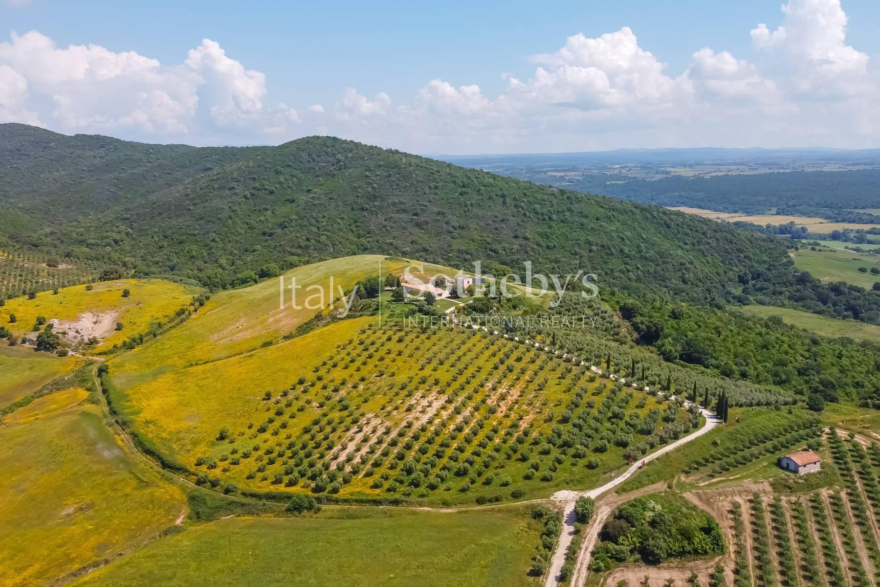 Splendida proprietà nella campagna Maremmana - 2