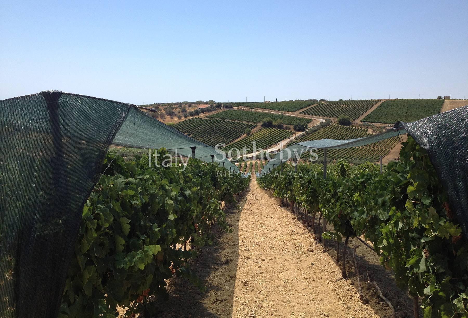 Magnificent  Sicilian Wine Estate - 18