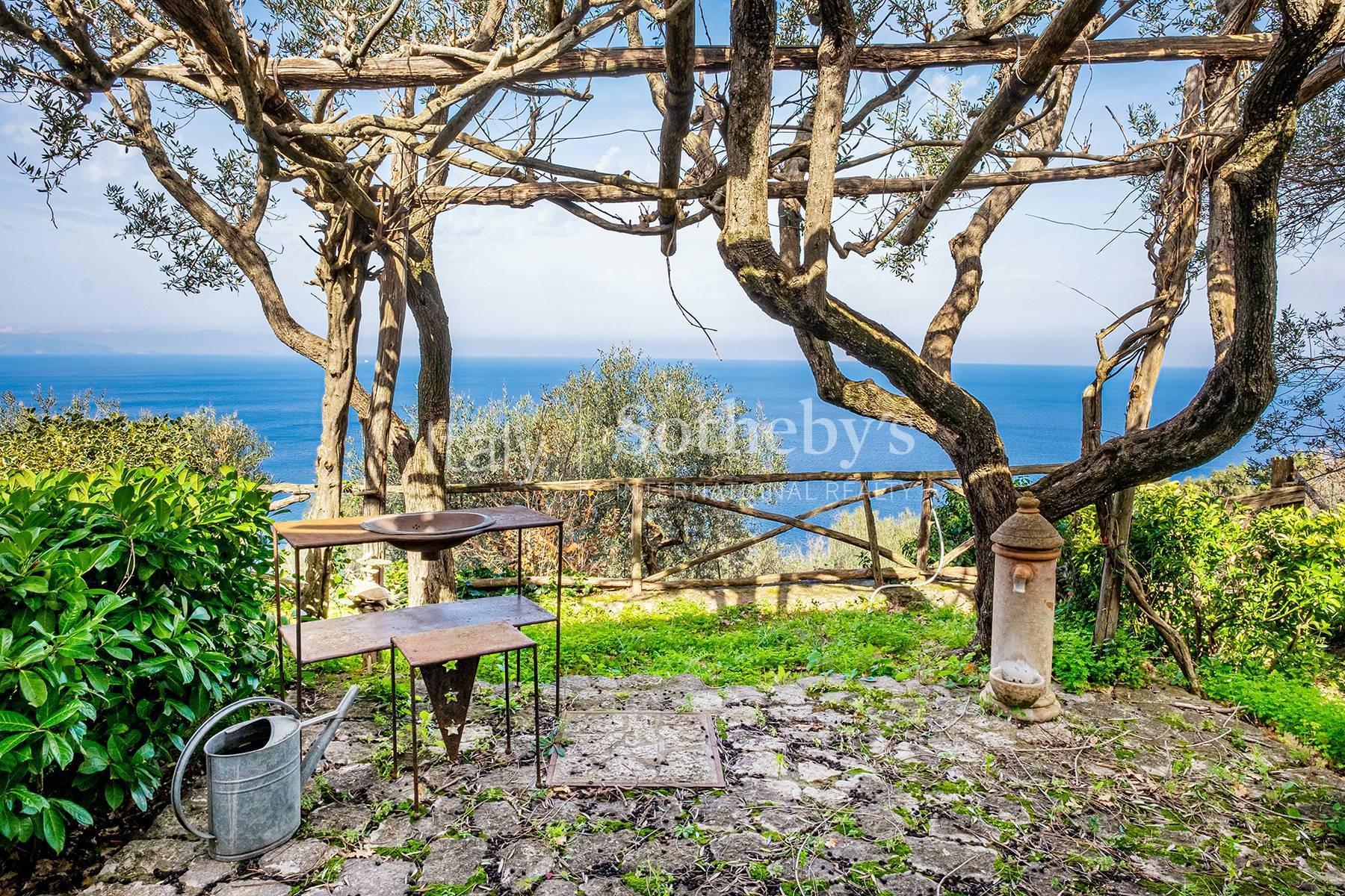 Magnificent villa overlooking the Grotta Azzurra - 3