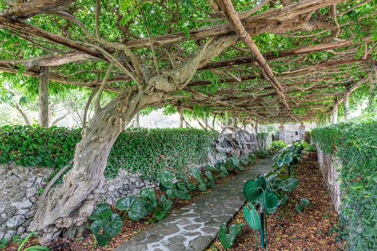 Monumental property overlooking the sea Villa For sale Capri