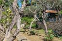 Splendida villa panoramica con giardino ad Anacapri, in vendita, Anacapri | Sotheby’s Realty Italy - 6