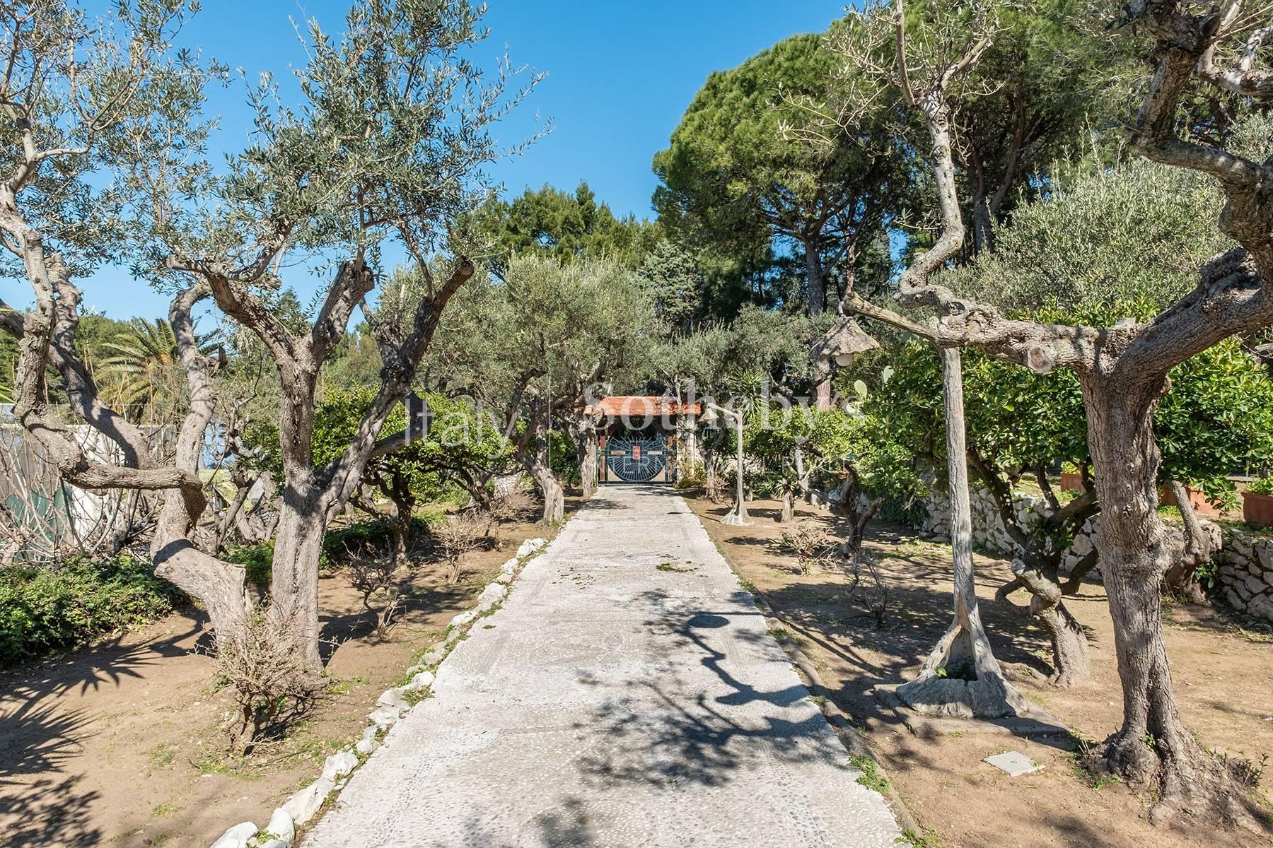 Splendida villa panoramica con giardino ad Anacapri, in vendita, Anacapri | Sotheby’s Realty Italy - 24