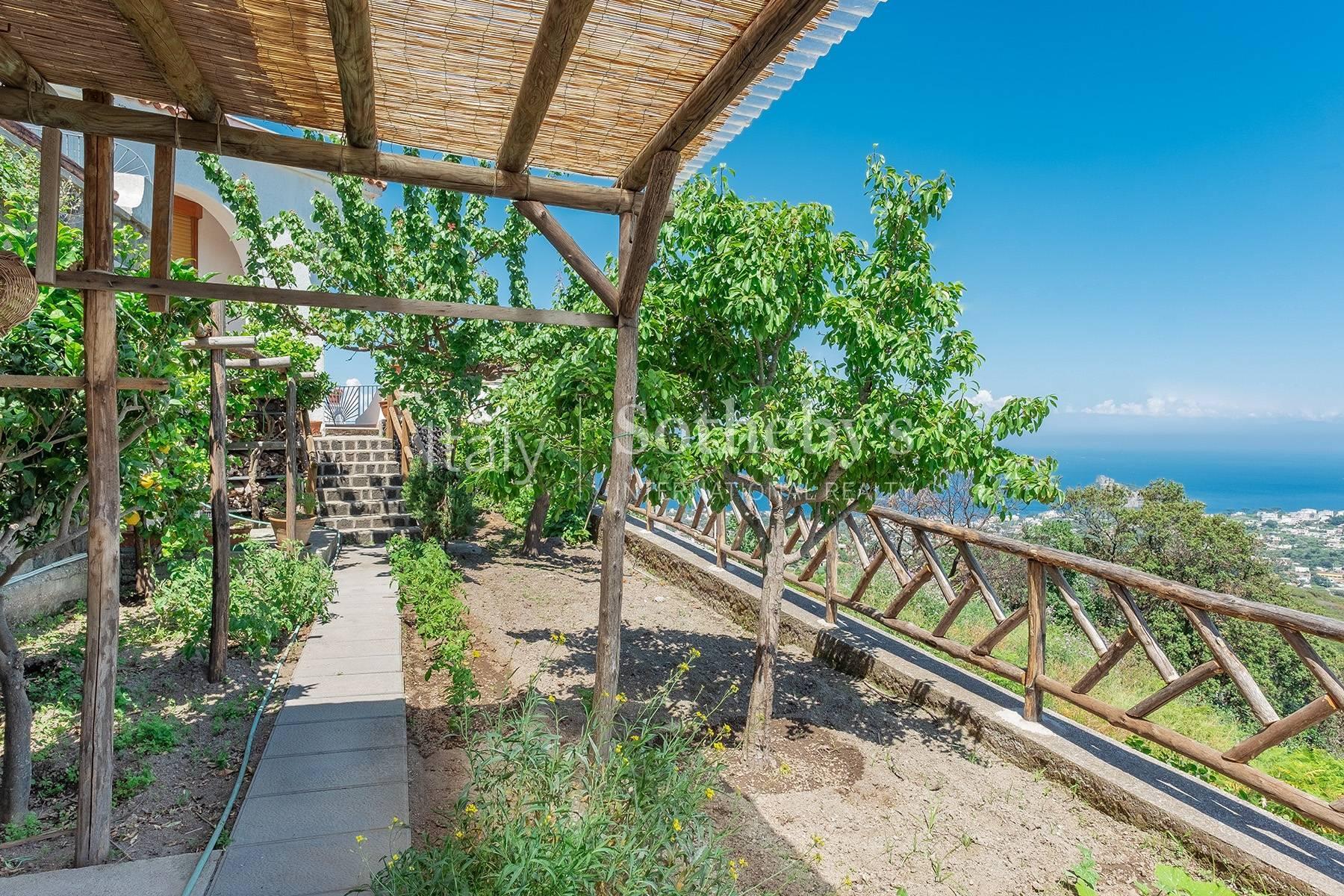 Villa panoramica con giardino ad Ischia - 3