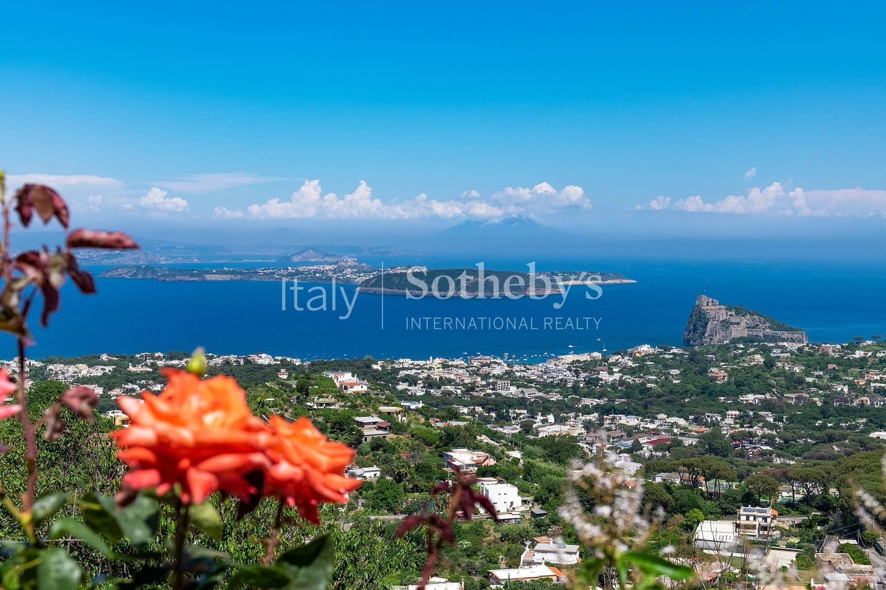 Villa avec vue panoramique  à Ischia - 7