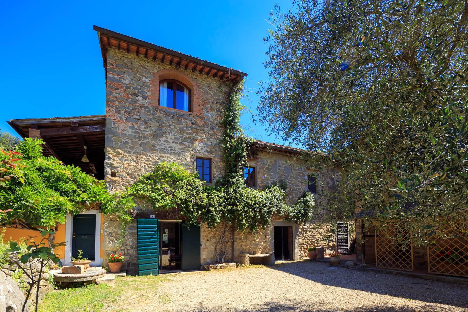 Beautiful Hamlet with an Ancient-Mill in the Arno Valley - 1