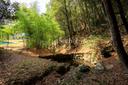 Un angolo di paradiso sulle colline  Aretine, in vendita, Loro Ciuffenna | Sotheby’s Realty Italy - 22