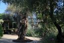 Boutique Hotel di charme sulle colline intorno a Lucca, in vendita, Camaiore | Sotheby’s Realty Italy - 5