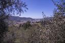 Romantico casale in Versilia, in vendita, Camaiore | Sotheby’s Realty Italy - 12