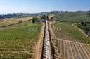 Azienda vitivinicola con antico casale a San Gimignano, in vendita, San Gimignano | Sotheby’s Realty Italy - 35