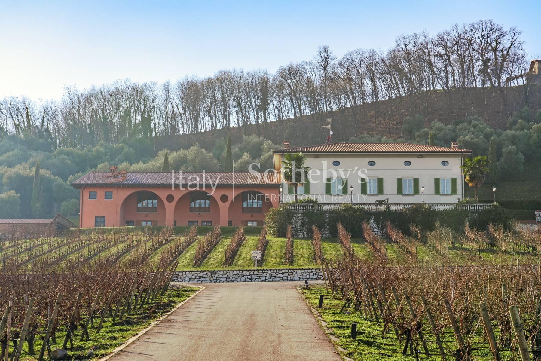 Splendid wine estate in the heart of Franciacorta - 3
